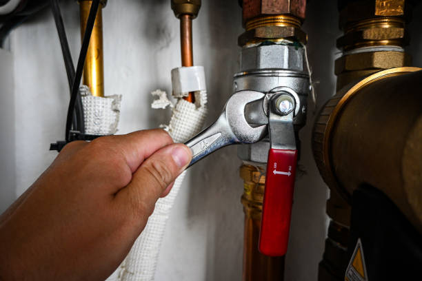 Best Plumbing Repair Near Me  in California, MO
